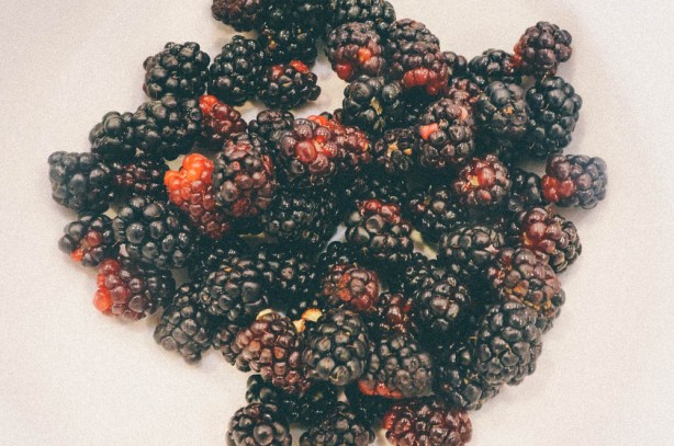 berriespresets (1 of 1)